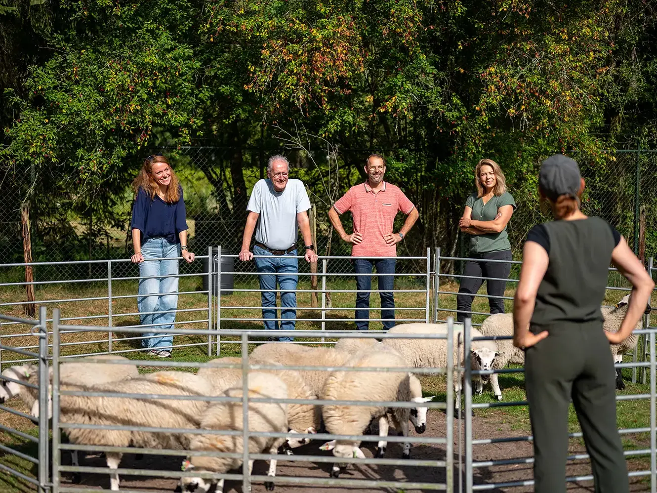 teamuitje schapendrijven met je bedrijf